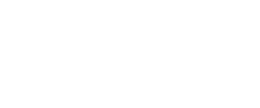 Partner Companies
